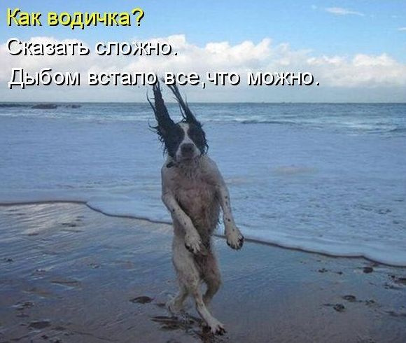bsrvad_22.jpg