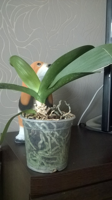 WP_20140613_005.jpg