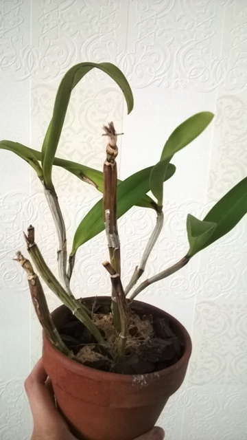 WP_20140613_013.jpg