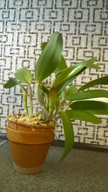WP_20140612_023.jpg