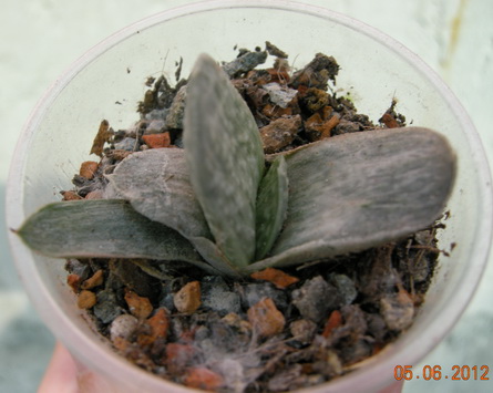 DSCN8903.JPG