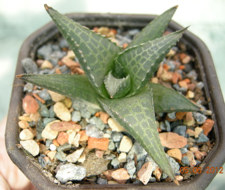 DSCN8904.JPG
