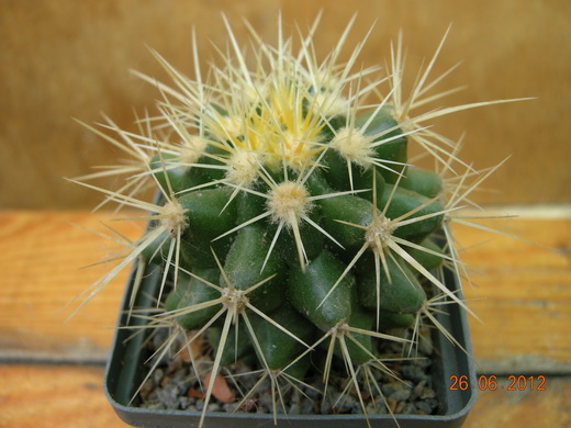 DSCN8985.JPG