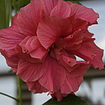 0_b9985_d3fd597e_S.jpg