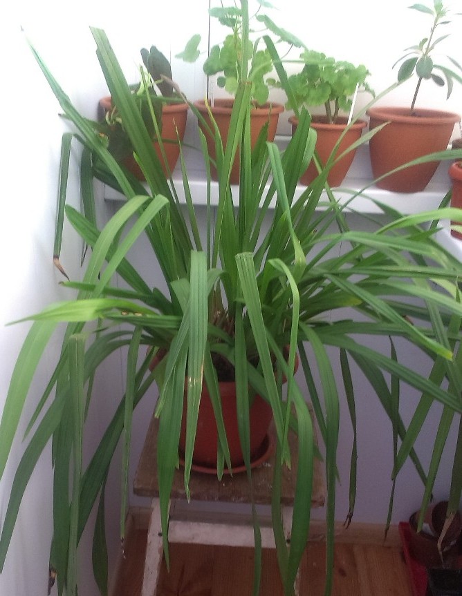 IMAG0149.jpg