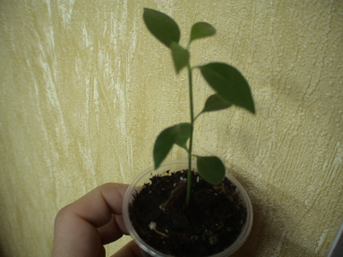 DSC01582а.jpg