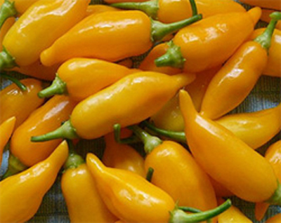 aji habanero .jpg