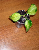 2014-06-26_194635.png