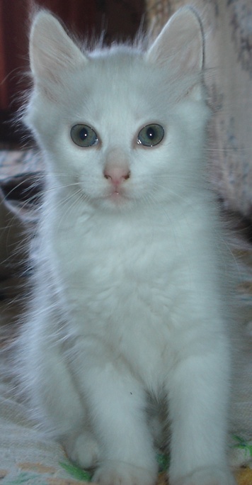 DSC04572.JPG