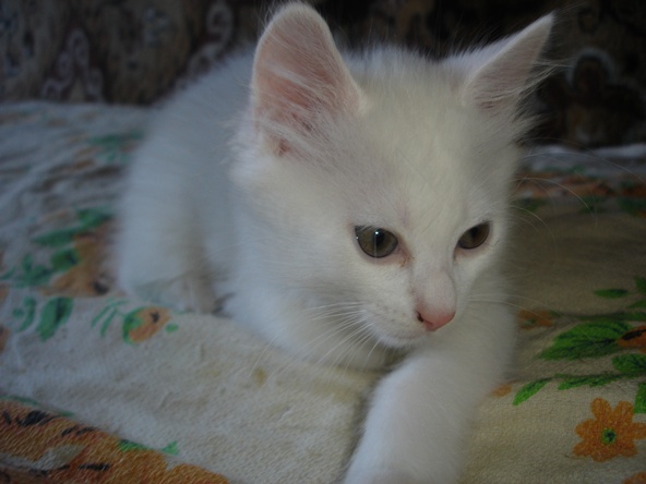 DSC04584.JPG