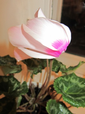 IMG_6284.JPG