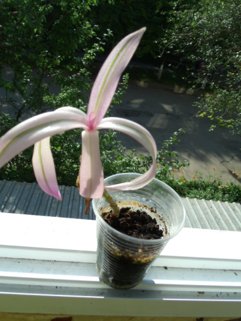 GEDC5569.JPG