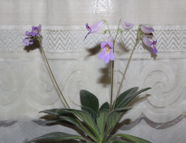 сентябрь 2013 040.JPG