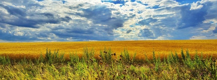 Україна.jpg