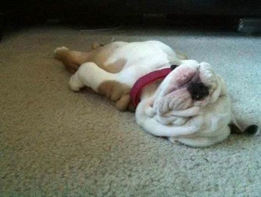 45656_15.jpg