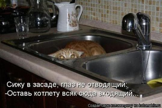 image.jpeg