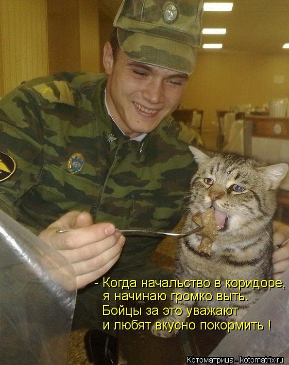 ьь.jpeg