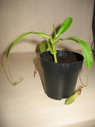 IMG_8174.JPG