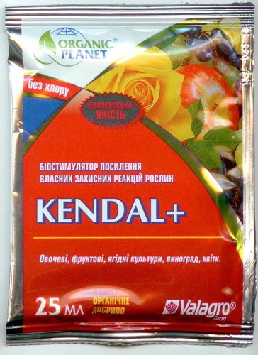 kendal+.jpg