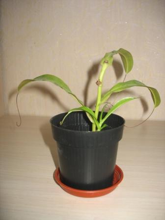 IMG_8252.JPG