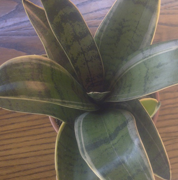 crop_93645692 111.jpg