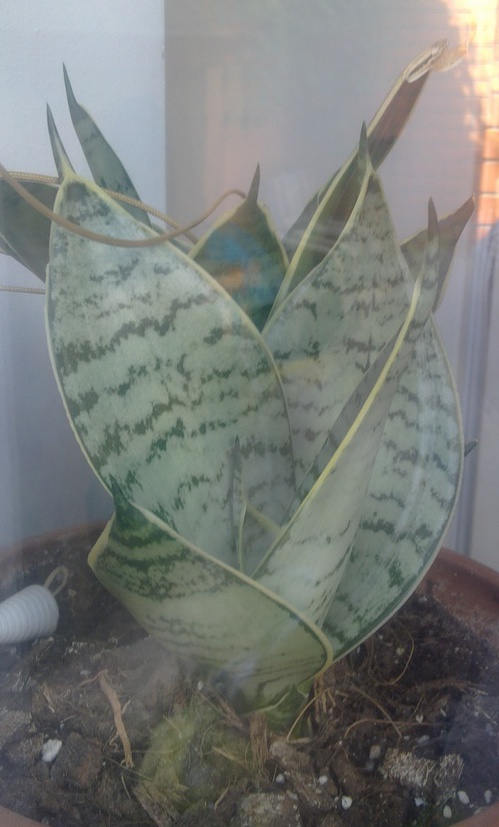 crop_93646081 221.jpg