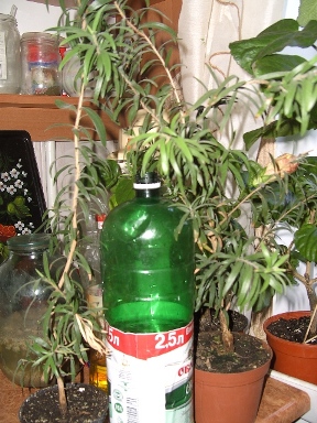 BILD0944.JPG