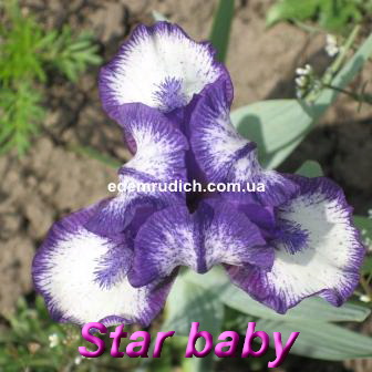 star baby.jpg