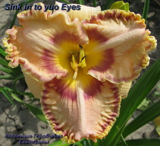Sink in to you eye.JPG