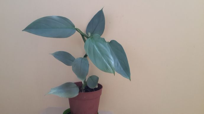 20140716_064911.jpg