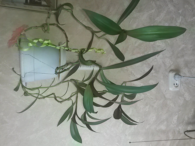 20140716_114156.jpg
