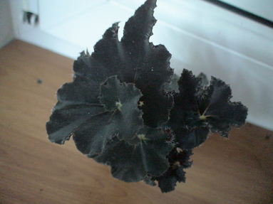 DSC01615а.jpg