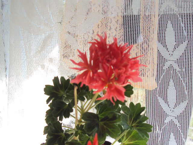 DSC08328.JPG