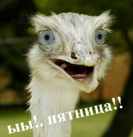 пятница.jpg