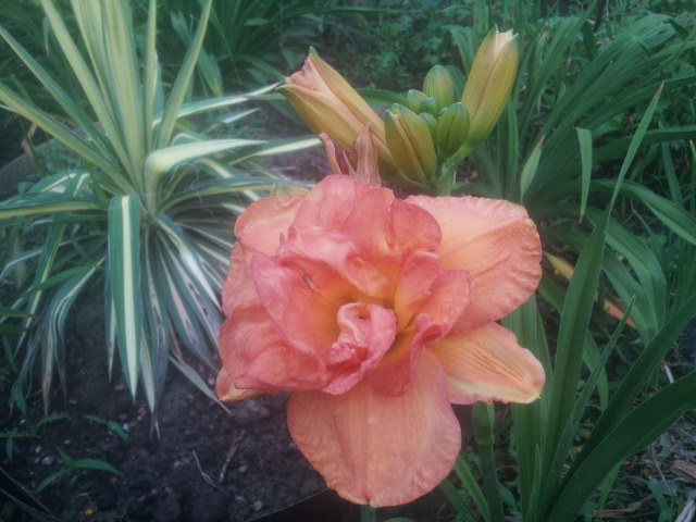 20140626_105221.jpg