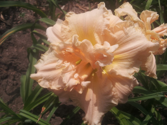 20140614_115522.jpg
