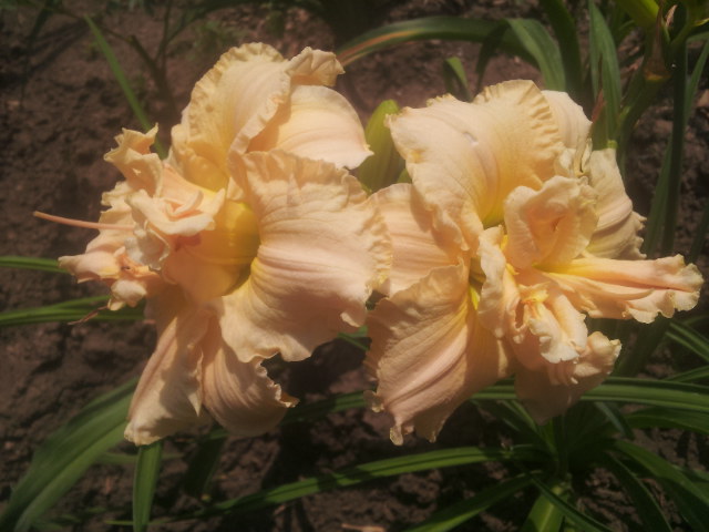 20140614_115512.jpg