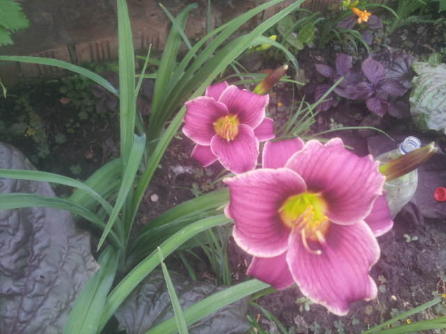 20140626_102818.jpg