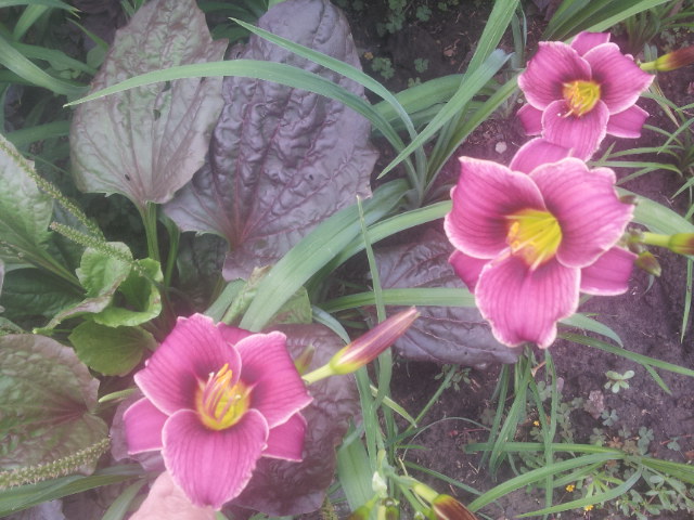 20140626_102830.jpg