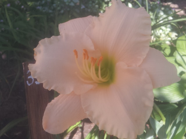 20140707_090454.jpg