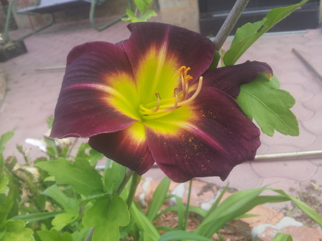 20140613_114921.jpg