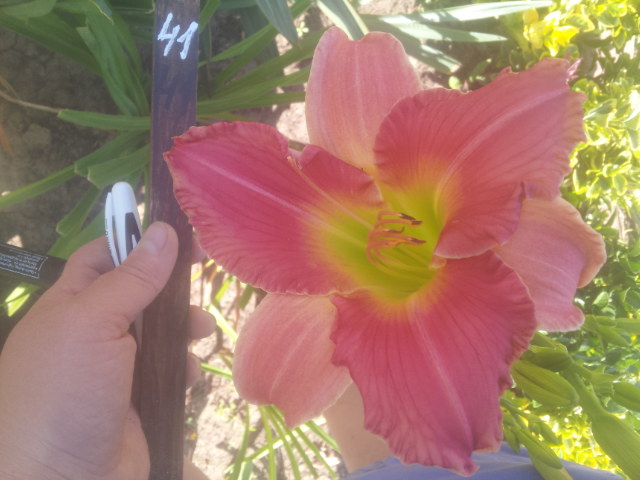 20140707_101132.jpg