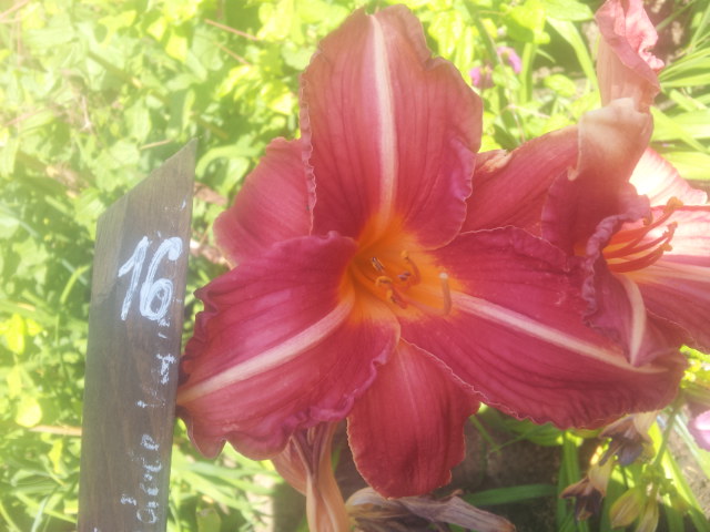20140705_104912.jpg