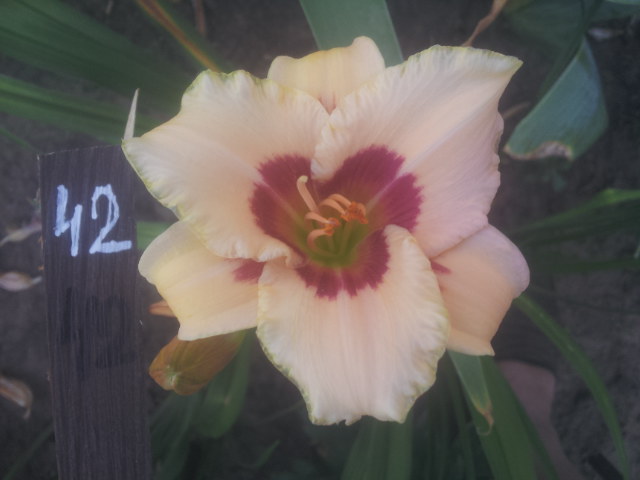 20140707_101504.jpg