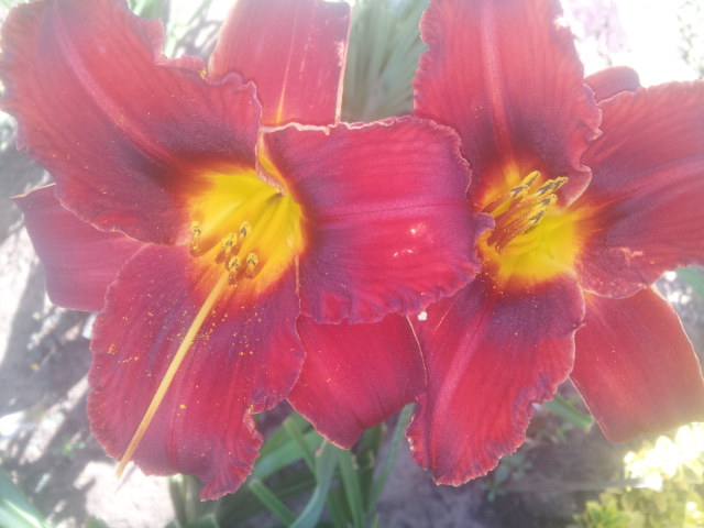 20140728_092353.jpg