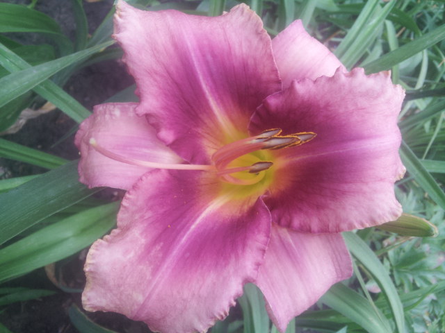 20140626_104723.jpg