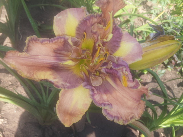 20140710_085525.jpg