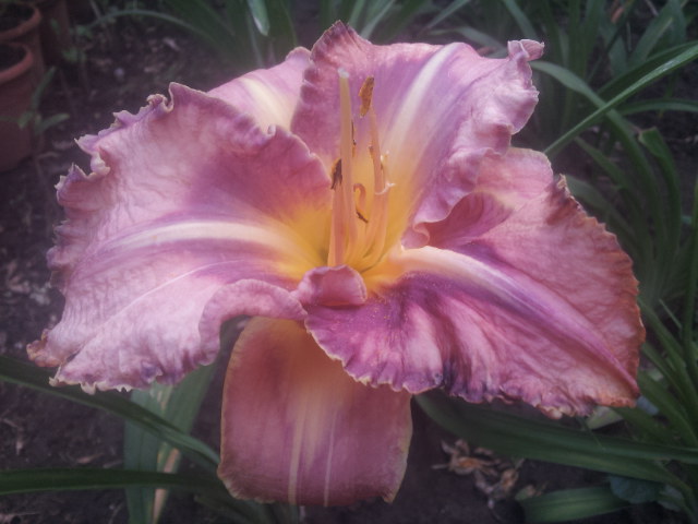 20140705_191224.jpg