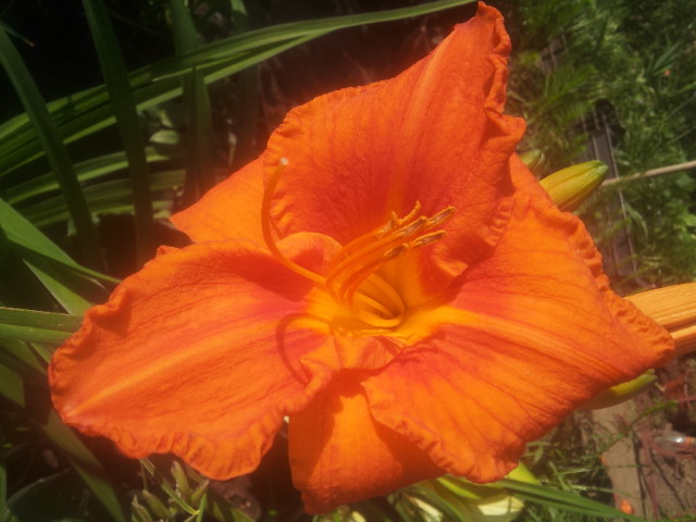 20140710_085628.jpg