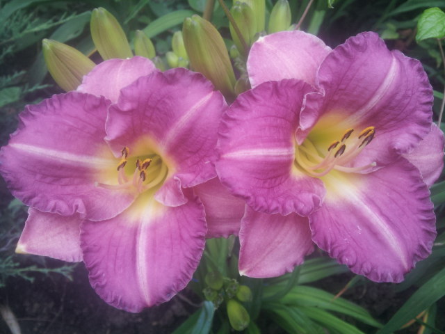 20140626_103852.jpg